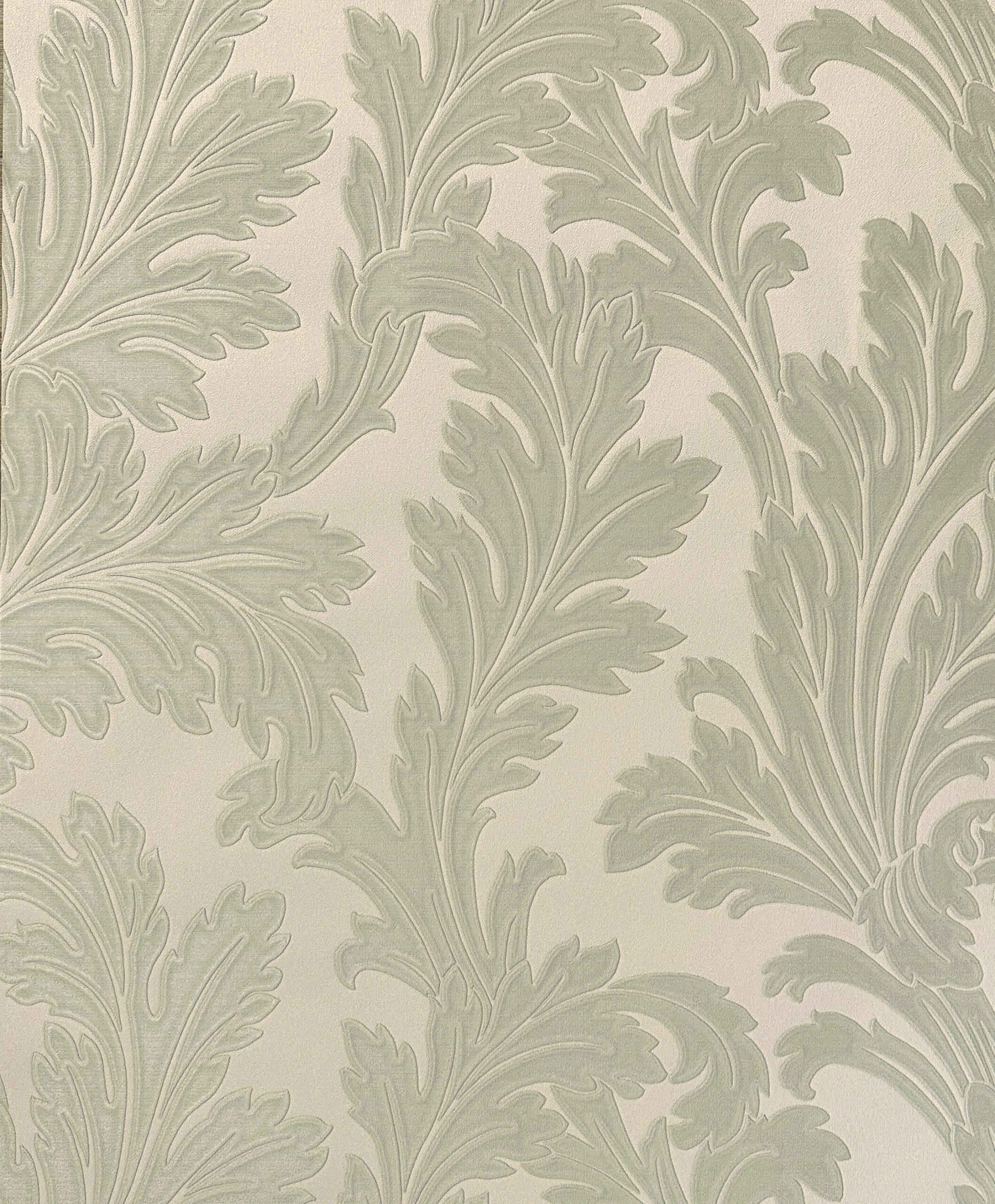 36430 Acanthus sage cream
